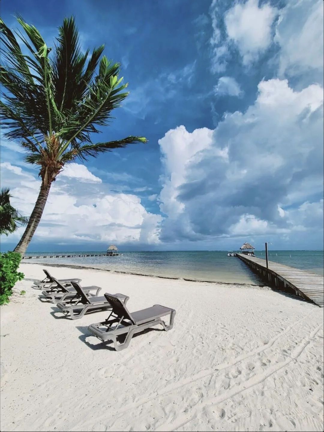 Indigo Belize Beach 3C