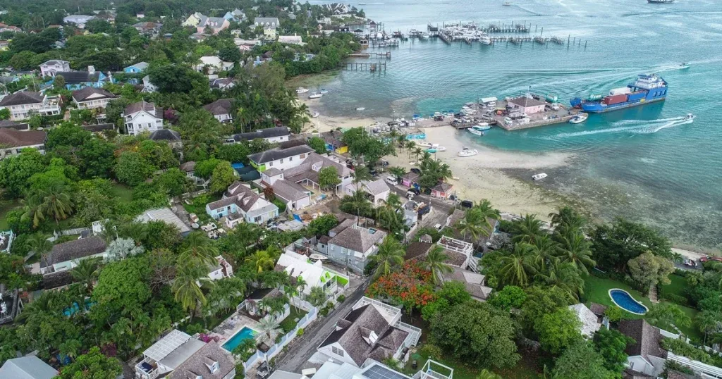 Wide view of Cotton Tree