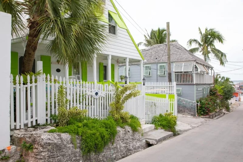 Otra vista de Cotton Tree