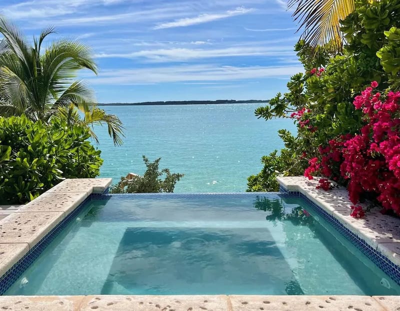 Coconut Shy Estate