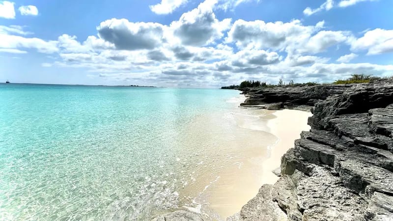 Arabella's Cove